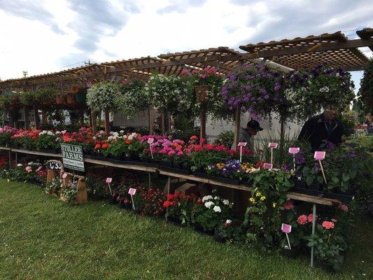 Canby Master Gardener sale