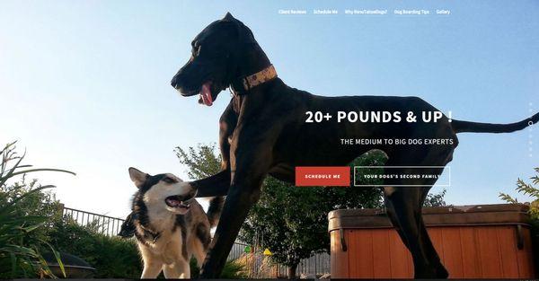 RenoTahoeDogs.com provides professional In Home Boarding and Walks (Fitness Adventures) for medium to large dogs (20 pounds +)