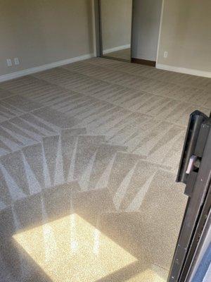 Diamond Carpet Cleaning