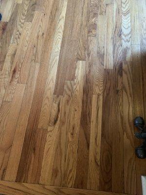 Wood floors