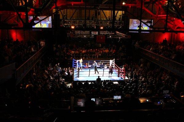 Star Boxing Rockin' Fights at the Paramount in Huntington in Long Island, New York