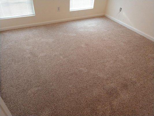 Two-tone frieze carpet looks great installed in this room.