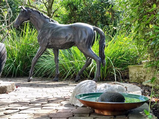 A favorite buy! (Copper dish/bird bath/drinking bowl)