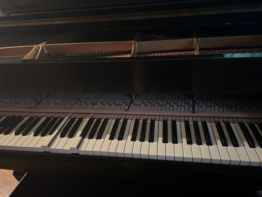 Main parts of piano destroyed