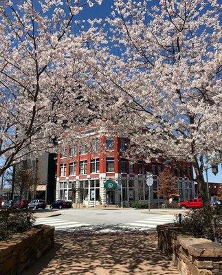 Located right on the corner of Block / Center St. Across from the Fayetteville, AR Downtown Historic Square.