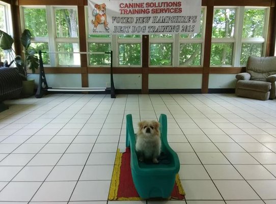 Scully in training at the facility