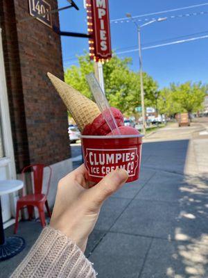 1/2 raspberry + 1/2 strawb hibiscus sorbets + sugar cone (kids size - 2.75)