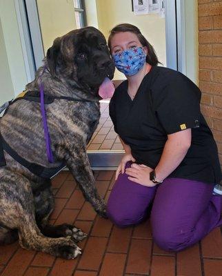 Dogs of all sizes love Spotsylvania Animal Hospital