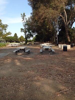 Multi table party zone.