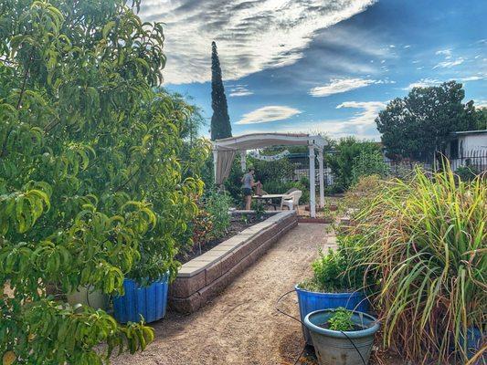 Community Garden at The Garden Kitchen