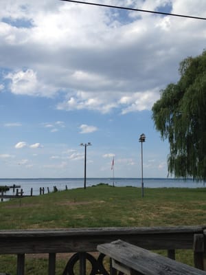 View from back patio dining area.