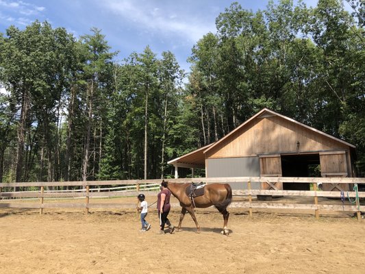 The Horsey Hostess