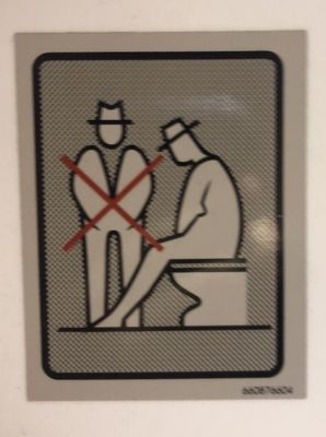 This sign, in a Wanda Coach bus, doesn't mean, "No watching others take a number two." It means, "Please pee sitting down, gentlemen."