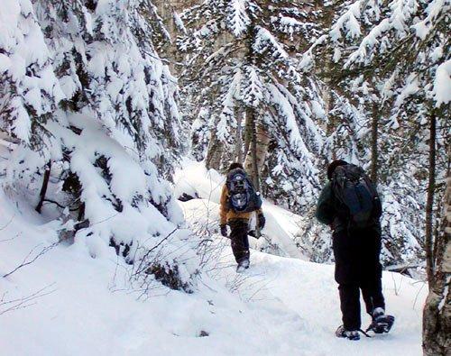 Snowshoeing in the peaceful wilderness after a storm.