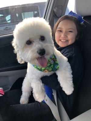 This was his winter look when he got fully groomed. I like a longer coat in the winter. Such an amazing job!