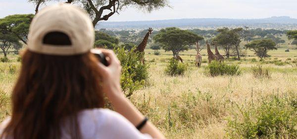 Tanzania Safari Tours