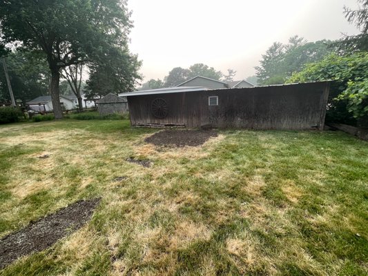 Tree and stump removed. Graded lawn, filled with dirt and grass seed. Notice how the lawn is cleaned of all branches.