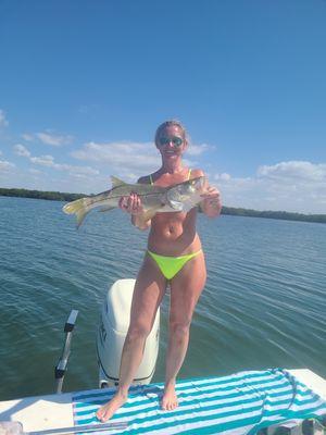 nice snook