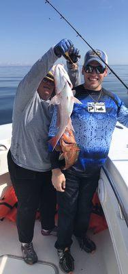 Red Snapper and red Grouper