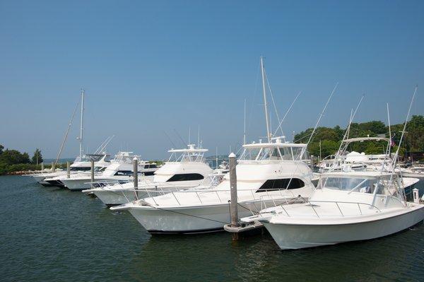 Fiddler's Cove Marina