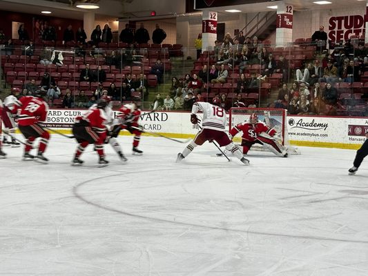 Excellent high speed on ice action!