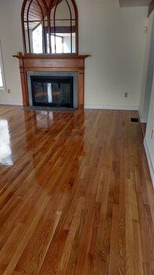 New Life Wood Floors