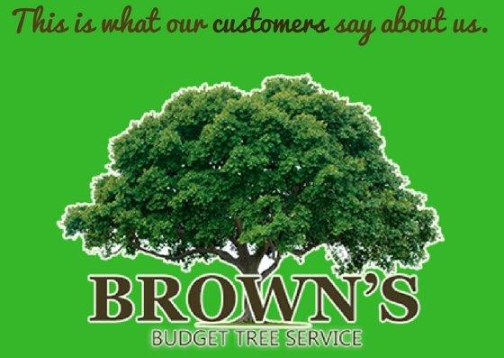 What our customers say about Brown's Budget Tree Service in Port Charlotte.