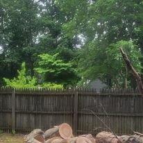 Odi Tree Service and Landscaping LLC