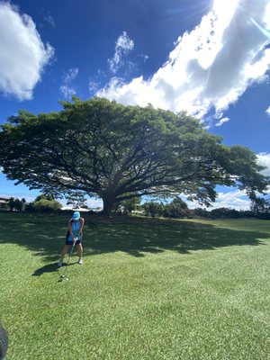 Beautiful Golf Course, no sand, greens were in rough shape.  They had just been sanded and putting was not consistent.