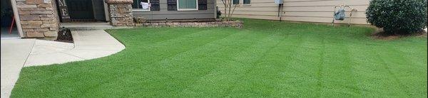 Turf managed by Hardyscape.