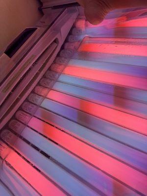 Uncleaned tanning beds