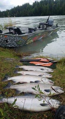 Limit of Silvers on the Kenai