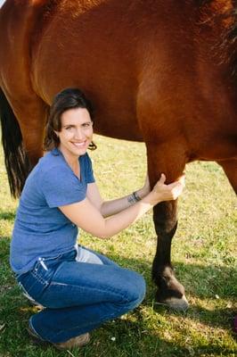 Equine Massage- Massaging the Leg