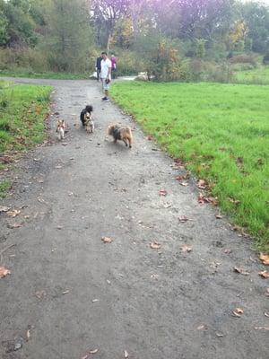 Meet friends on a trail