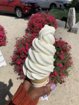 Cheesecake soft serve ice cream (small)