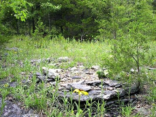 Rocky outcrop in Missouri Ozarks on land for sale by Homestead Crossing