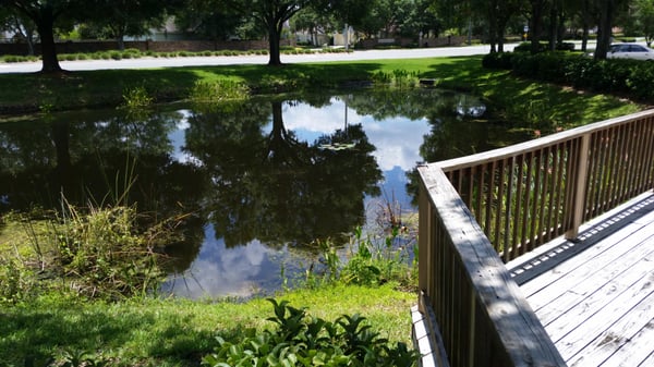 Small pond in the front