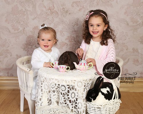 Get pictures with live bunnies every spring before Easter!