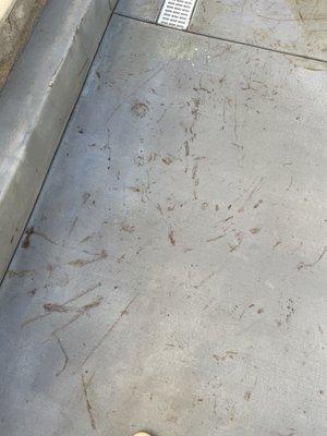 Stains on new concrete patio