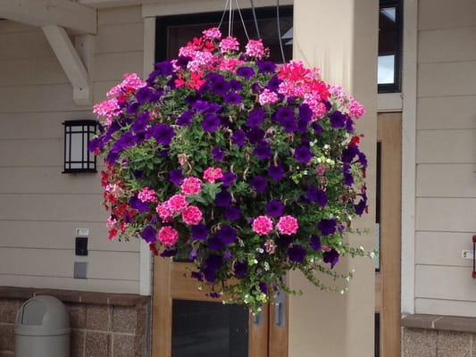 We provide and maintain summer baskets.