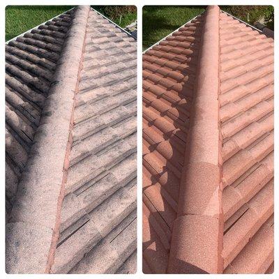 Soft wash Roof Cleaning