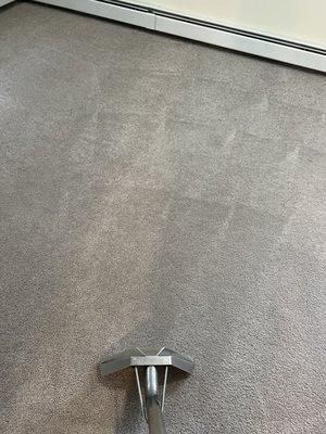 Deep Carpet Renewal Cleaning