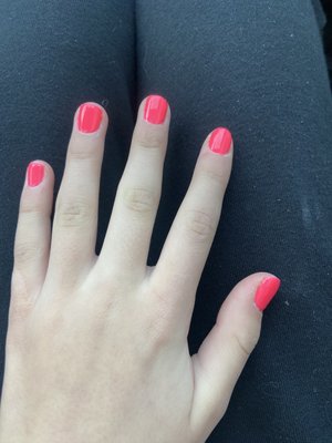 The nails I got