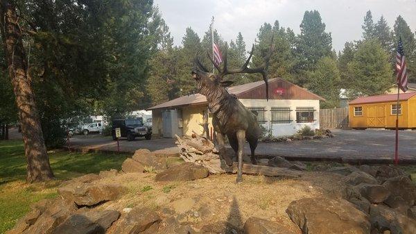 Our iconic elk statue