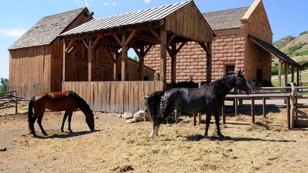 Blue Ridge Feed And Seed