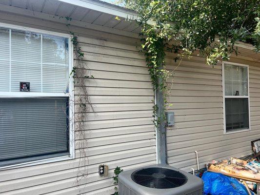 Third (3rd) caption of Vinyl duplex before the vines and limbs were removed. Cleaned up nicely after...