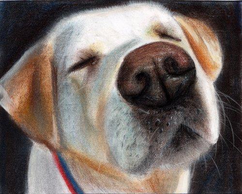 Lily, age 14, chalk pastel