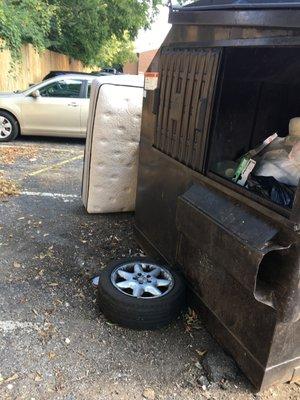 Tenants drop things outside the dumpsters