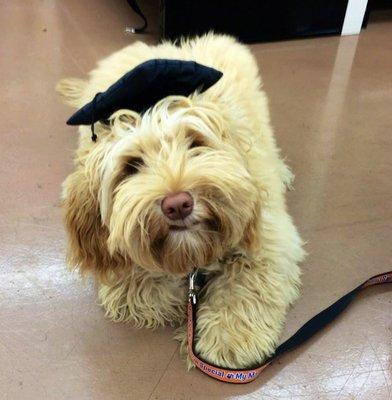 Another puppy training graduate!