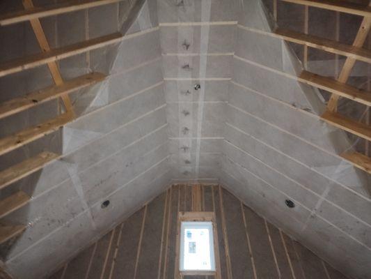 Netted and dense packed ceiling with cellulose.